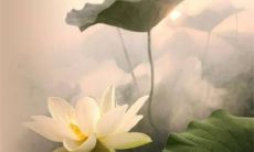 先见女朋友父母还是男朋友父母 常见情况婚嫁讲究