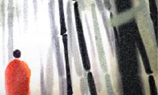 容易喜形于色的星座