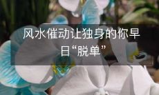 风水催动让独身的你早日“脱单”