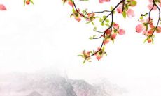 女生订婚戒指戴哪只手 婚姻状态的体现