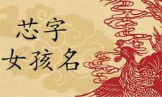 带芯的女孩名字寓意好不好 心和芯哪个取名好