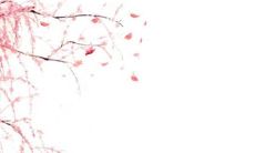 女生戒指的正确戴法 可表明自身感情状态