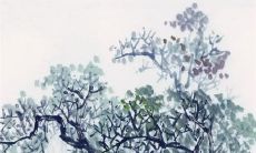 小雪节气晴天有说法吗 晴天好还是下雨好