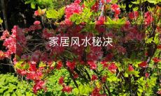 家居风水秘决
