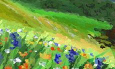 白羊座微信订阅都看什么?