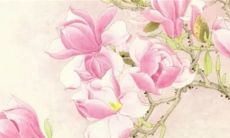 白露节气是哪一天 9月7日23点32分7秒