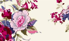 白露节气的由来 斗指癸为白露,阴气渐重