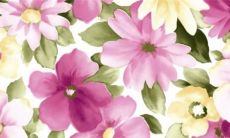 处暑到警惕秋老虎反扑 暑将尽热未止