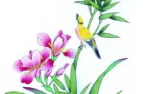 小雪节气应该吃什么食物 降火清肺滋阴生阳