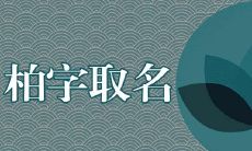 柏字配什么字好听吉利