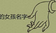 带木的女孩名字100分推荐