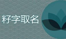 籽名字寓意是什么 高雅女孩取名首选