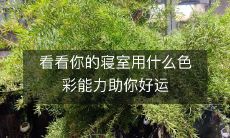 看看你的寝室用什么色彩能力助你好运