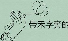 带禾字旁的字取名能带来富贵好运吗