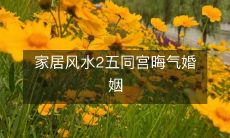 家居风水2五同宫晦气婚姻