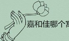 佳字取名含义是什么 嘉和佳哪个寓意更好