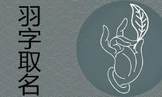 名字里带羽的寓意是什么 搭配好听的取名有哪些