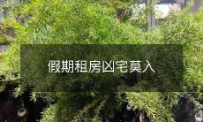 假期租房凶宅莫入