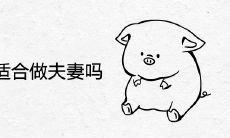 男猪女狗适合做夫妻吗