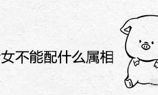 属猪女不能配什么属相