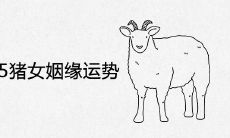 91男羊和95猪女姻缘运势好吗