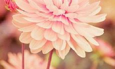 冰箱摆放在阳台的风水影响