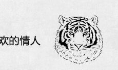 属虎男最喜欢的情人