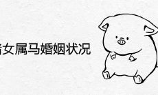 男属猪女属马婚姻状况