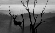 2022年农历腊月二十三是开业黄道吉日吗 营业好不好