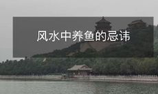 风水中养鱼的忌讳