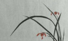 2022年12月中生肖狗财运如何 勤勤恳恳生活无忧