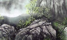 2022寅虎年12月中属牛人财运现况 破财危机养气运植物