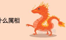 属龙的最怕和什么属相在一起
