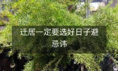 迁居一定要选好日子避忌讳