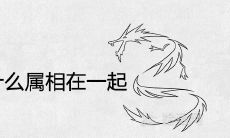 属龙的最怕和什么属相在一起