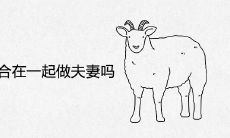 属羊和属狗适合在一起做夫妻吗
