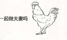 属羊和属鸡适合在一起做夫妻吗