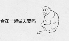 属猴和属猪适合在一起做夫妻吗