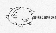 属猪和属猪适合在一起做夫妻吗