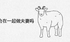 属羊和属羊适合在一起做夫妻吗