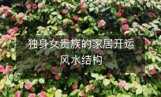 独身女贵族的家居开运风水结构