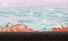 家里放什么利于招财？一招get！