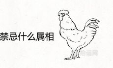 93属鸡婚配禁忌什么属相