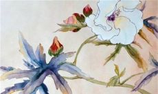 2023年高考运最佳的生肖 名类前茅出类拔萃