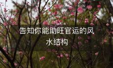 告知你能助旺官运的风水结构
