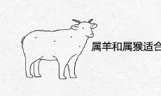 属羊和属猴适合在一起做夫妻吗