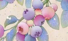 2023癸卯兔年桃花运好的生肖 主动出击迅速脱单