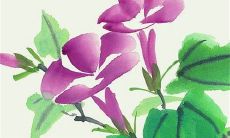 22年属相猪12月感情运势如何 事事如愿结局美好