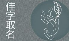 佳字到底属土还是木 怎么给女孩取名更高雅吉利