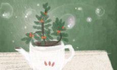 痣的位置与命运：鼻子长痣好不好？